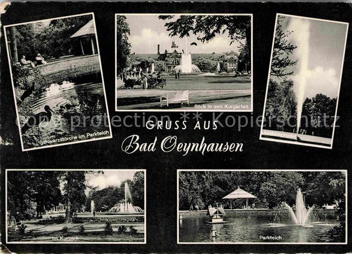 Bad Oeynhausen Schwarzstoerche Parkteich Kurgarten Jordansprudel Kurpark