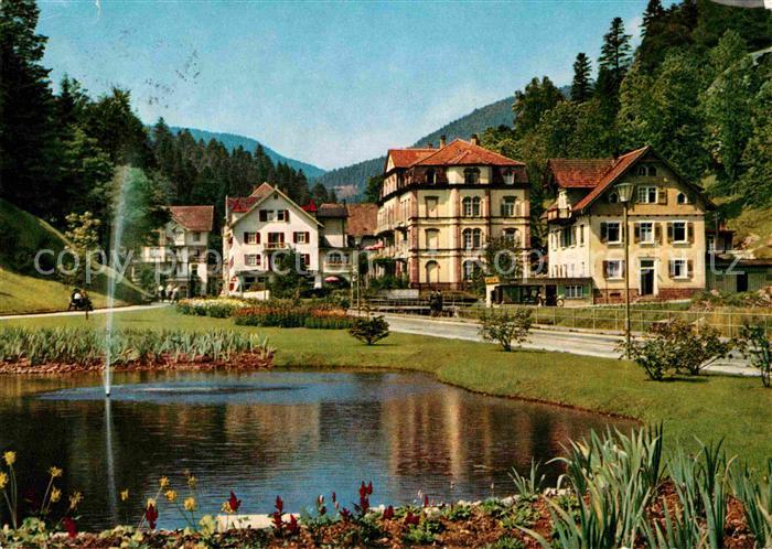 Bad Rippoldsau Schwarzwald Hotel Kranz Teich Mineral und Moorbad