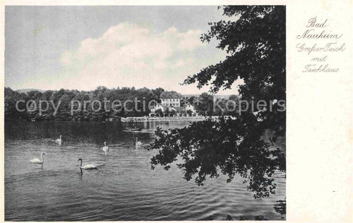 Bad Nauheim Teich Schwaene Teichhaus