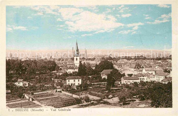 Dieuze Vue Generale