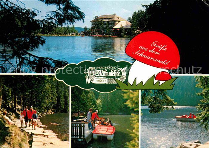 Baiersbronn Schwarzwald Berghotel Mummelsee