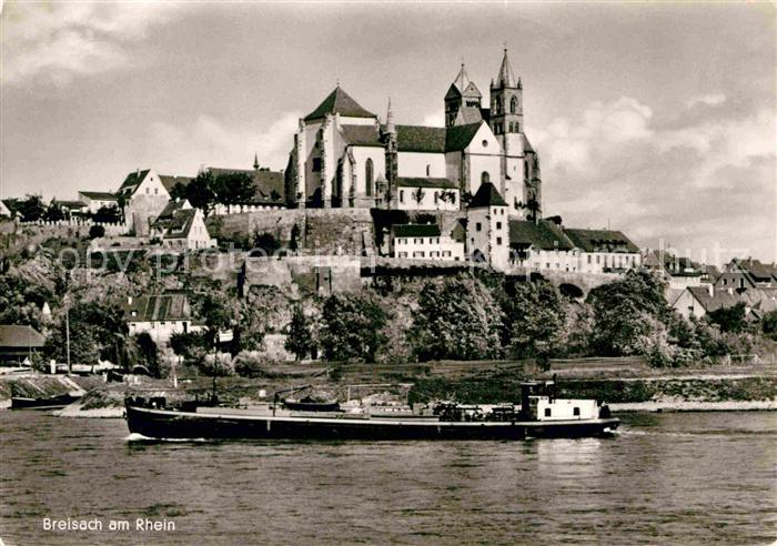 Breisach Rhein Rheinpartie mit Muenster