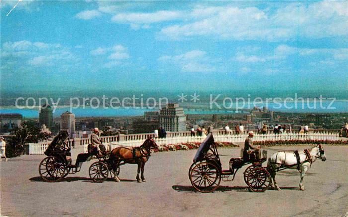 Montreal Quebec Old French Horsedrawn Carriages on Mount Royal