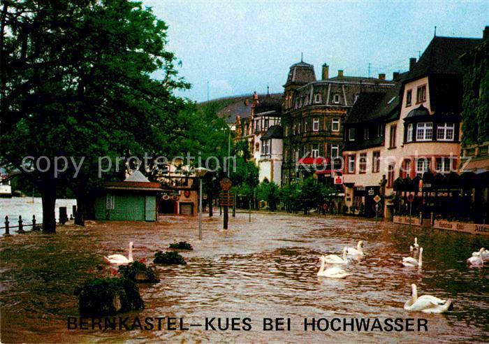 BERNKASTEL-KUES Berncastel Rheinland-Pfalz Moselufer bei Hochwasser Schwaene