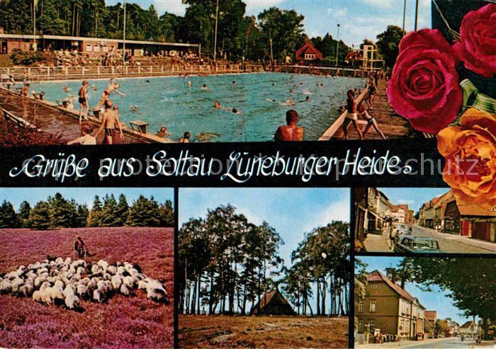 Soltau Schwimmbad Ortsansichten Schafherde Lueneburger Heide