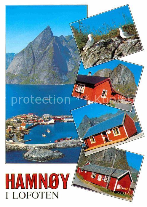 Hamnoy Hafen Wohnhaeuser Wasservoegel Berge