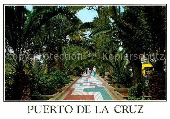 Puerto de la Cruz Paseo de las Palmeras