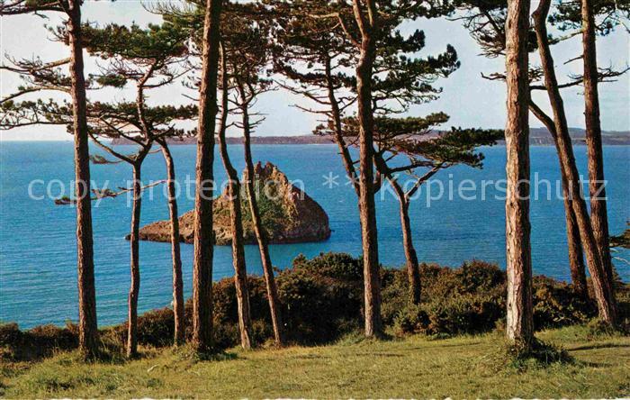 Torquay UK Thatcher Rock Pinienwald