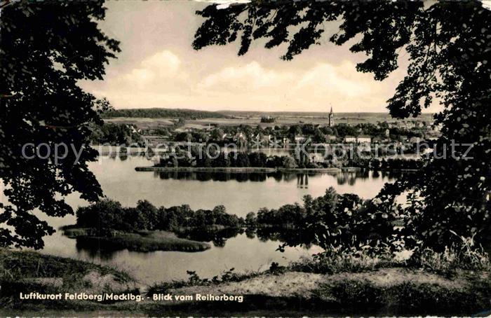 Feldberg Mecklenburg Panorama Blick vom Reiherberg