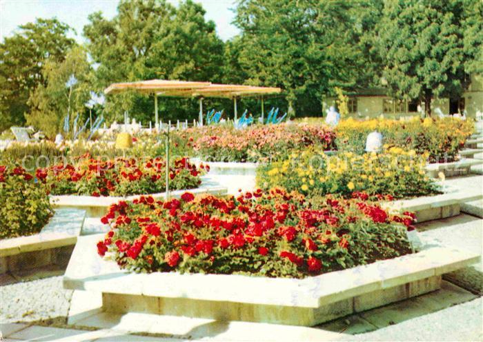 ERFURT  CITY Internationale Gartenbauausstellung grosser Rosengarten