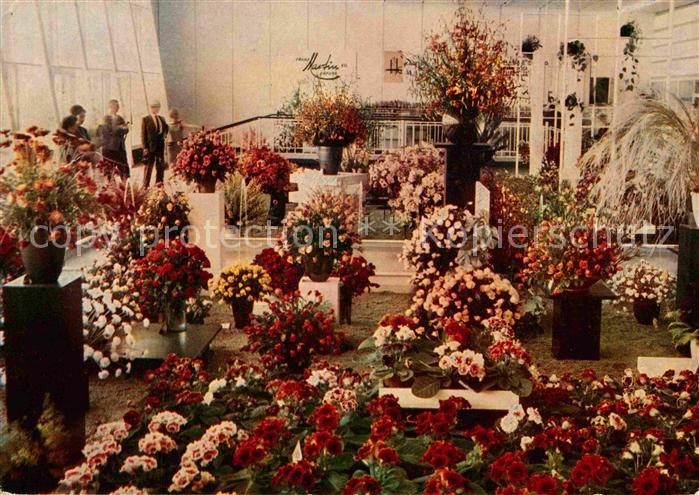 ERFURT  CITY Internationale Gartenbauausstellung Rosensonderschau