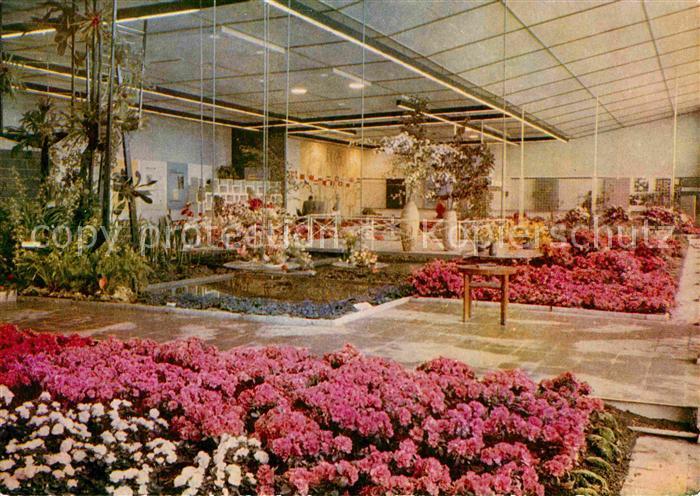 ERFURT  CITY Internationale Gartenbauausstellung Blumen Zierpflanzenbau