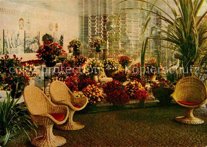 ERFURT  CITY Interntionale Gartenbauausstellung Rosenschau