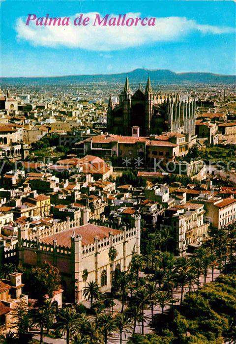 Palma de Mallorca Luftaufnahme Lonja Kathedrale