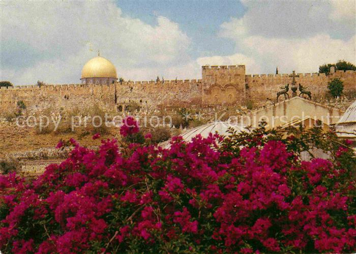Jerusalem Yerushalayim Klagemauer Felsendom
