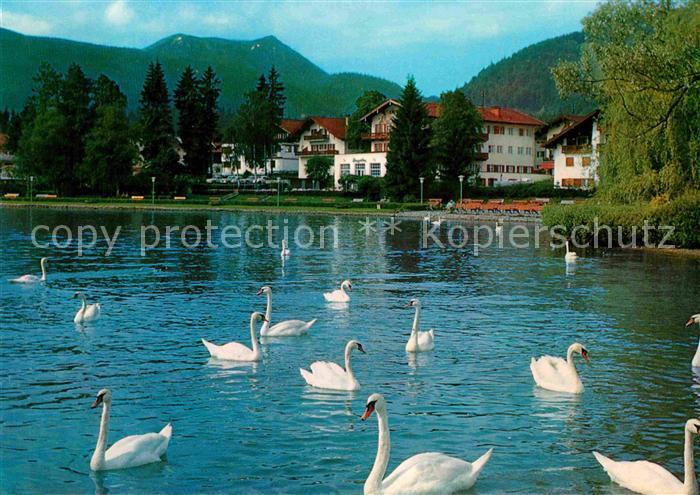 Bad Wiessee Kuranlagen Hirschberg