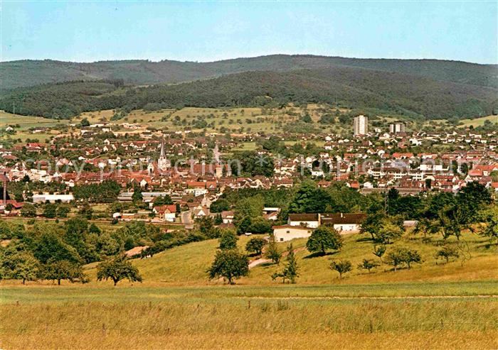 Michelstadt Panorama