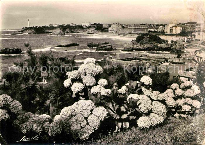 Biarritz Pyrenees Atlantiques Hortensias Plage Phare