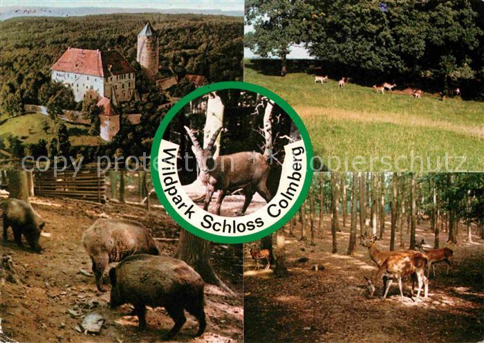 Colmberg Schloss Naturpark Frankenhoehe