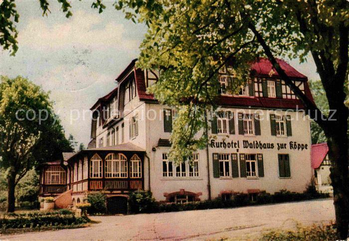 Bad Klosterlausnitz Kurhotel Waldhaus zur Koeppe