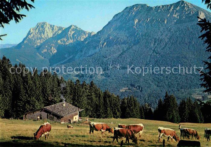 Inzell Traunstein Bayern Baeckeralm Teisenberg Hochstaufen Zwiesel Gamskogl