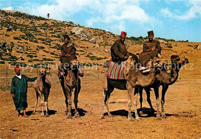 Marokko Maroc Camelleros