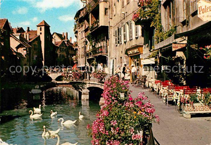 Annecy Haute-Savoie Quais Schwaene