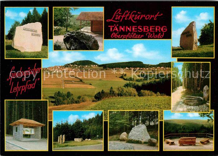 Taennesberg Geologischer Lehrpfad