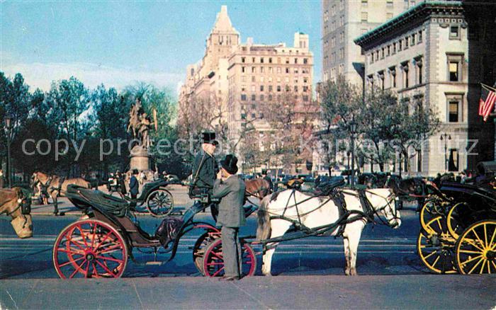 New York City Carriages on 59th street
