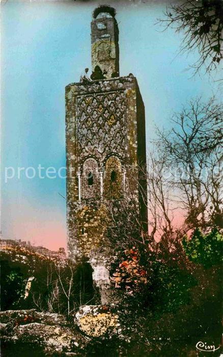 Marokko Maroc Minaret du Chellah