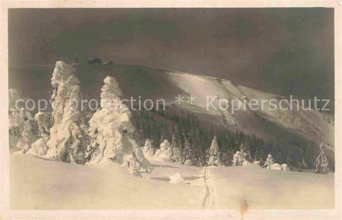 Zastler Feldberg tief verschneit