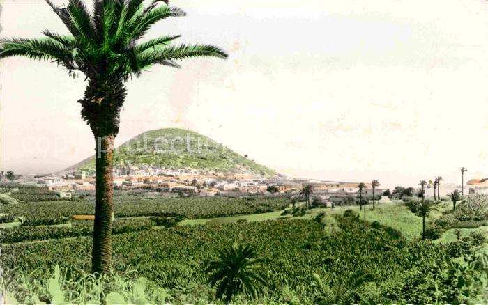 Gran Canaria Montana Cardones