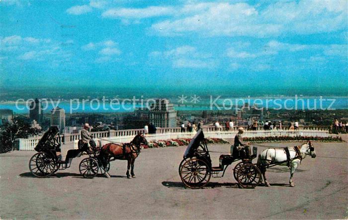 Montreal Quebec Old French Horsedrawn Carriages on Mount Royal