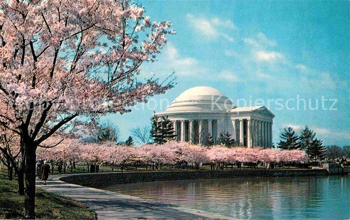 Washington DC Jefferson Memorial At Cherry Blossom Time