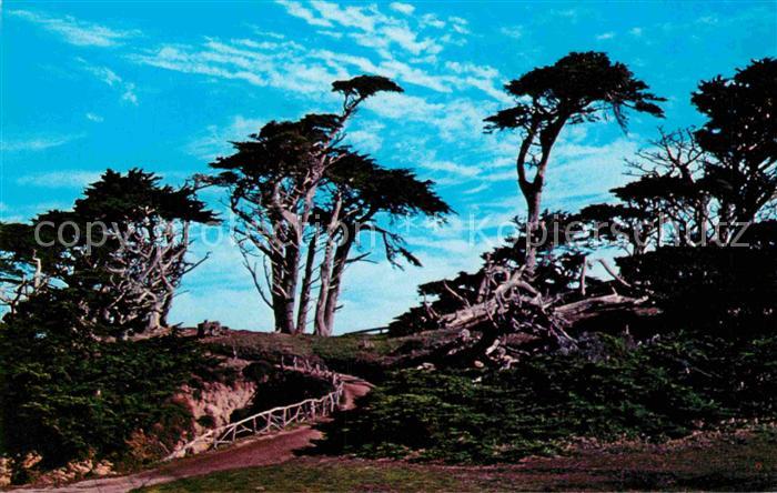 Pebble Beach Cypress Point Course