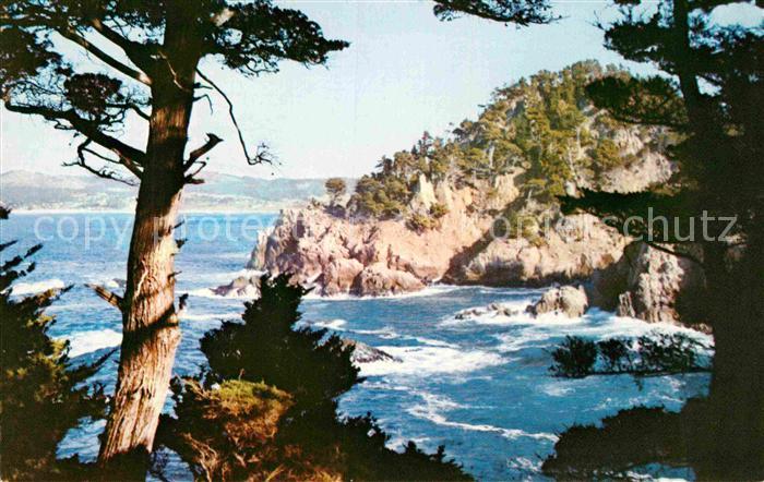 Carmel California Point Lobos Steilk?ste