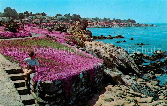 Pacific Grove The Magic Carpet
