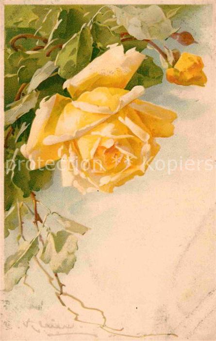 Klein Catharina Kuenstlerlitho Gelbe Rose