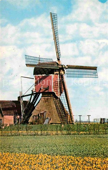 Windmuehle Holland