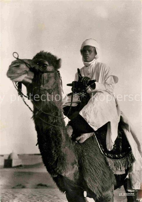 Kamel  Camel Chameau Jeune chamelier Mehari