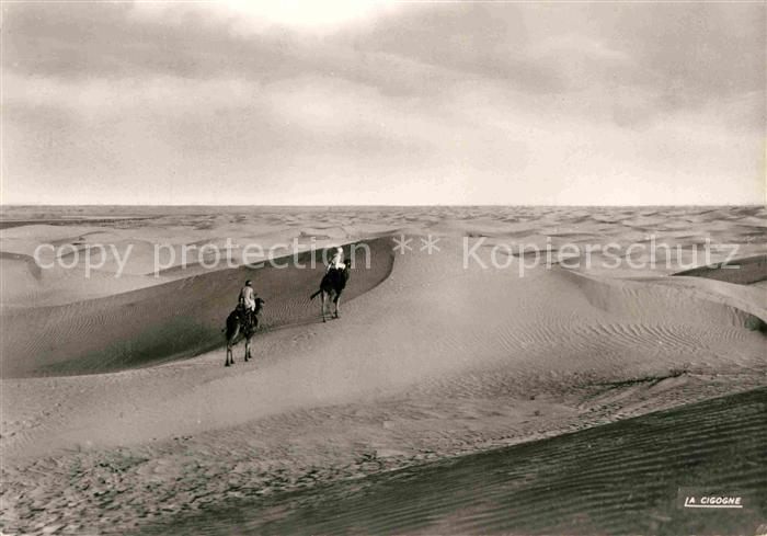 Kamel  Camel Chameau Mer de Sable