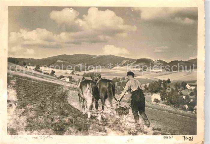 Foto Popp Nr. 5585-1 Landwirtschaft Pflug Pferde