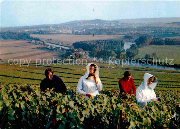 Ernte Landwirtschaft Traubenlese Vendangeurs Champagne