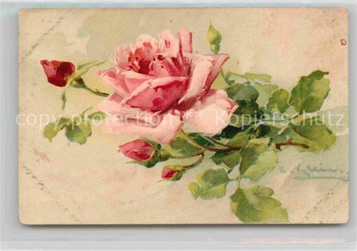 Klein Catharina Kuenstlerlitho Rosen Litho