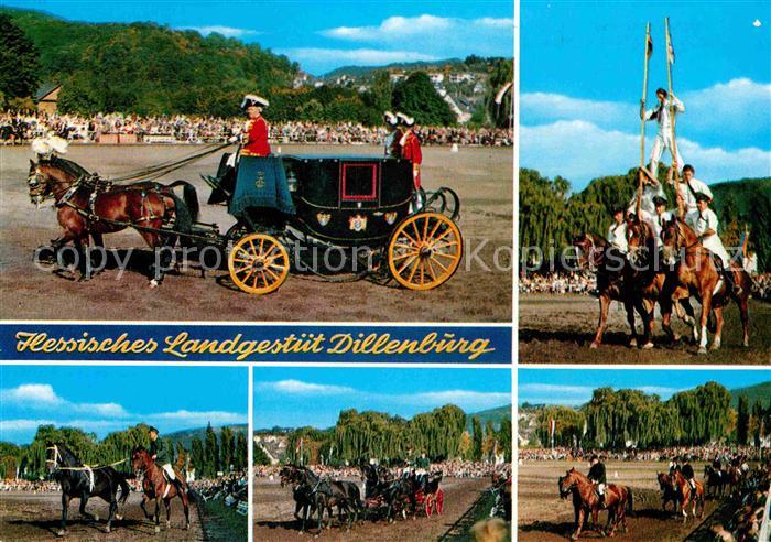 Dillenburg Hengstparade Hessisches Landgestuet Pferdesport