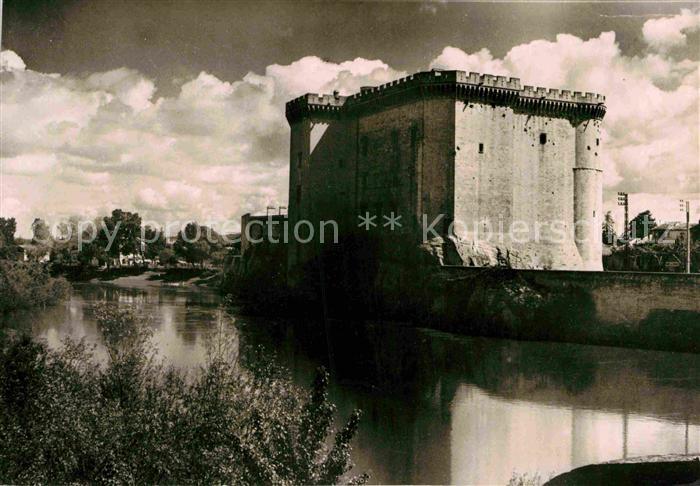 Tarascon Bouches-du-Rhone Chateau et le Rhone Schloss 15. Jhdt.
