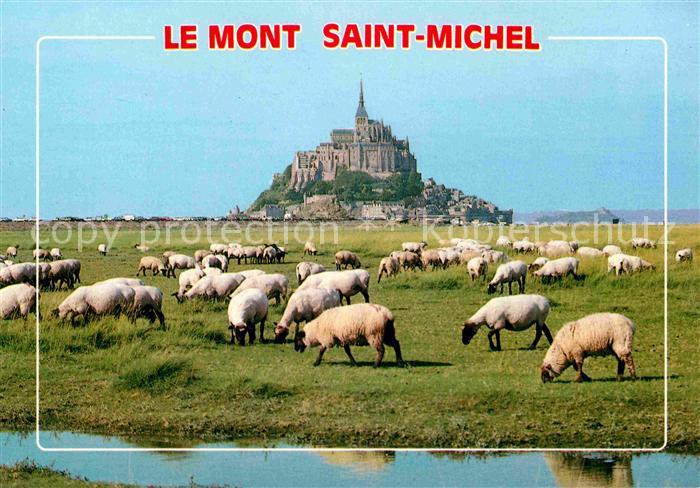 Le Mont-Saint-Michel Schafherde