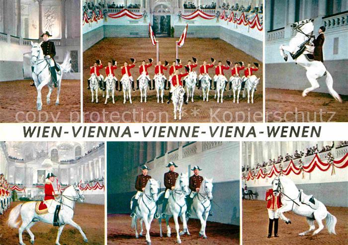 Wien Spanische Hofreitschule Lippizaner Pferde
