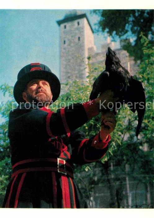 London Tower of London Ravenmaster with one the Tower ravens Rabenmeister mit Tu
