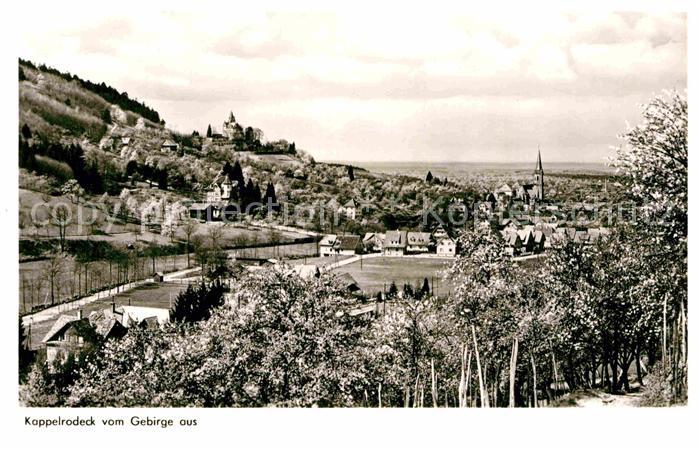 Kappelrodeck Panorama